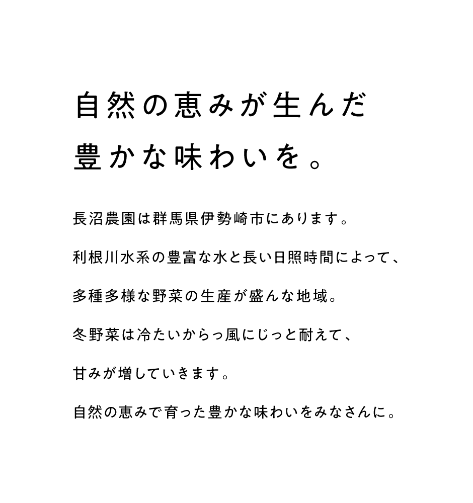 自然の恵が生んだ豊かな味わいを
